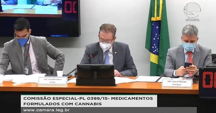 luciano ducci aprovação cannabis medicinal