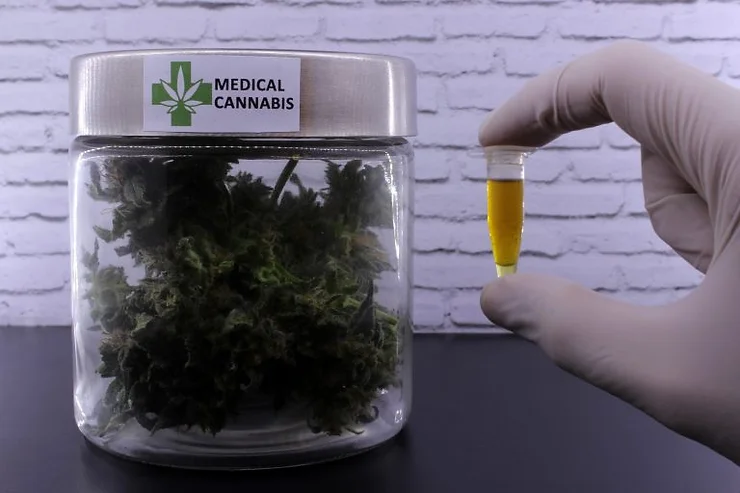 luciano ducci comissão cannabis medicinal