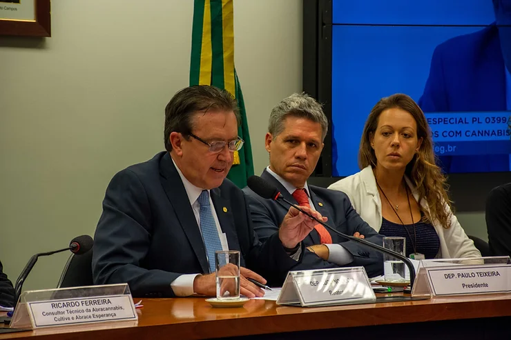 luciano ducci apresenta relatório cannabis medicinal
