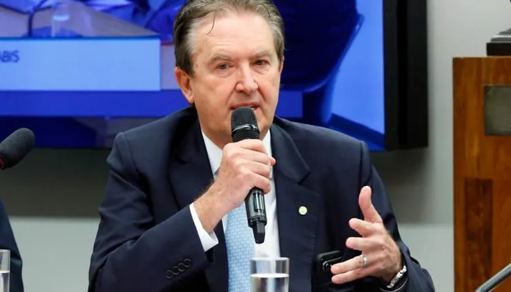 luciano ducci plantio da cannabis medicinal